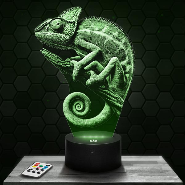 Chameleon
  3D LED Lamp