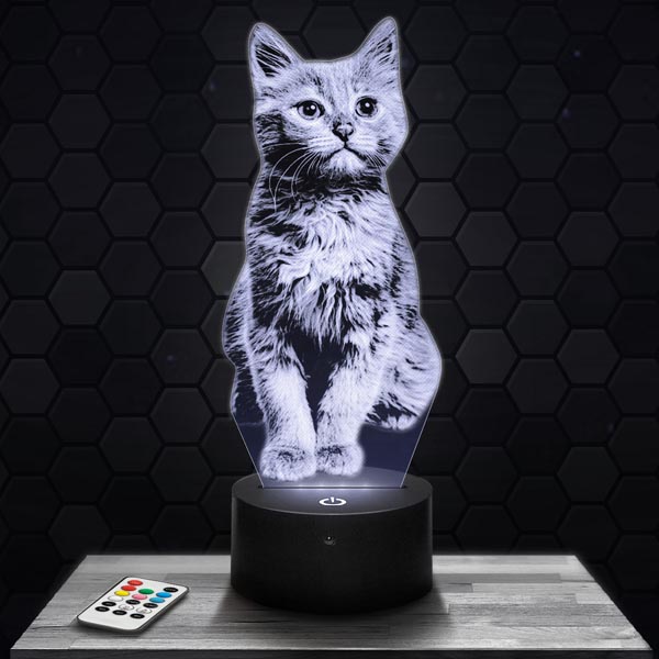 Kitten 3D
  LED Lamp