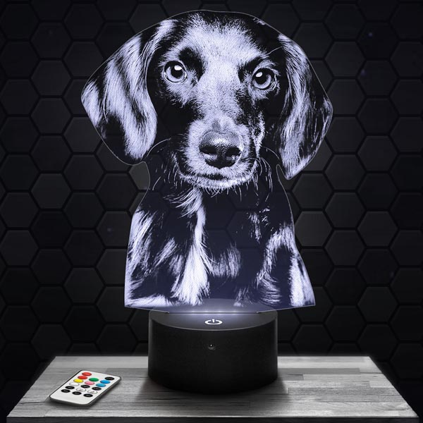 Cute Black
  Puppy 3D LED Lamp