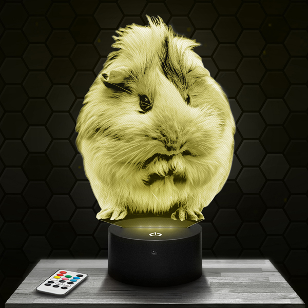 Guinea pig
  3D LED lamp