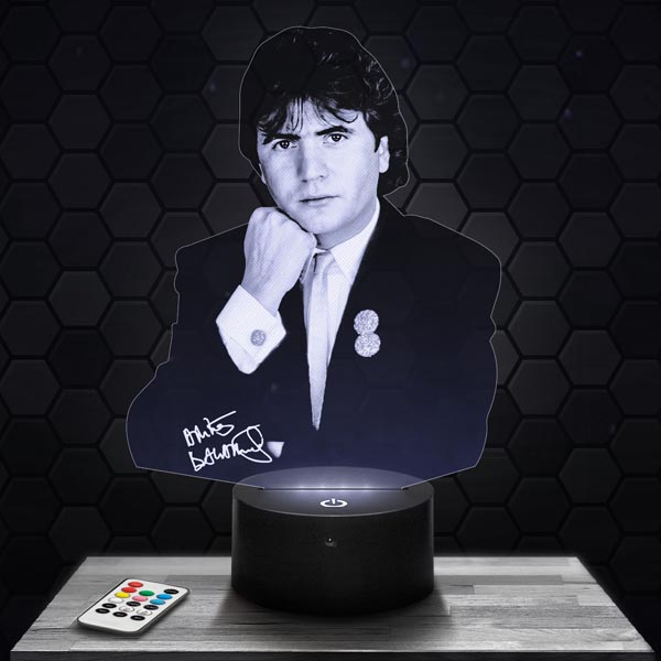 Daniel
  Balavoine 3D LED Lamp