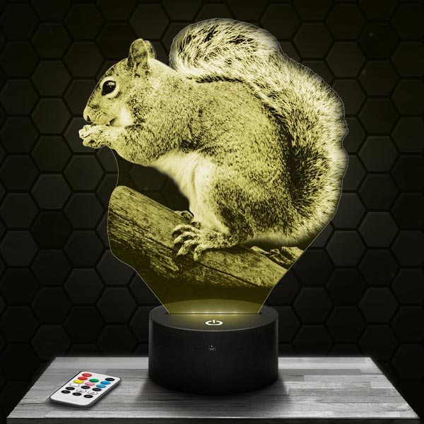 Squirrel
  3D LED Lamp