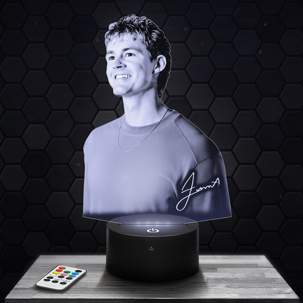 Forrest
  Frank 3D LED lamp