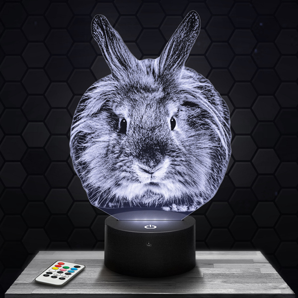 Rabbit 3D
  LED lamp