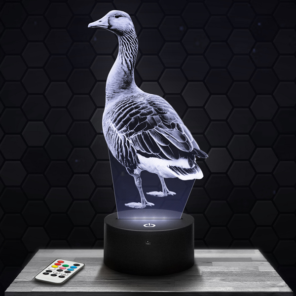 Hi 3D LED
  lamp